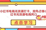 小红书电商无货源打卡，抢先占领小红书无货源电商风口