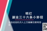 明灯副业三十六条小妙招之第19招全自动挂机月入上万躺赚互联网