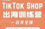 疯人院:TikTok Shop出海训练营（一店卖全球)，出海抢占全球新流量