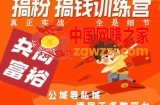 曲博夫搞粉搞钱.训续营，做“私域”光宗耀祖！但是你不是得先有粉丝吗？真正实战，全是细节