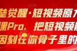 短视频原力赋能课Pro：把短视频能力基因刻在你骨子里的课