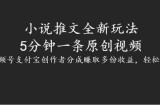 小说推文全新玩法，5分钟一条原创视频，结合视频号支付宝创作者分成赚取多份收益