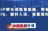 商业IP孵化训练营新版，教你做商业Ip，做好人设，流量搞好钱