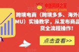 跨境电商（跨境多多、海外版多多TEMU）实操教学，从发布商品到售卖发货全流程操作！