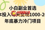 小白副业首选，0成本投入，每天变现1000-2000年底暴力冷门项目【揭秘】