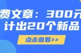 付费文章：300元设计出20个新品