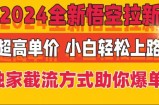 2024全新升级孙悟空引流，极高价格，独家代理截留方法帮助你打造爆款，新手快速上手