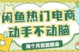 电商平台卖显示器月入过W，最新干货分享，小白轻松上手