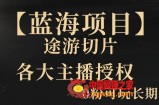 一天收入2000+，最新中视频创新玩法，用AI科技一键改唱影解说刷爆流量收益【揭秘】