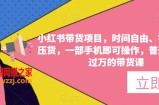 小红书带货项目，时间自由、零门槛无压货，一部手机即可操作，普通人月收过万的带货课