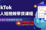 2023最新TikTok达人短视频带货课程，赢取海外短视频带货红利