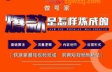 做号家-个人IP起号方法，快速打造爆款短视频，全面提升起号、文案、内容创作等技能