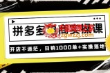 拼多多电商实操课：开店不迷茫，日销1000单+实操落地