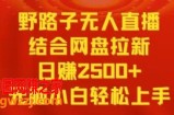 野路子无人直播结合网盘拉新，日赚2500+，小白无脑轻松上手【揭秘】