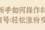 教新手如何操作抖音文案号；轻松涨粉变现！【视频教程】