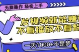 无脑操作，发视频就能赚钱，不看播放不看粉丝，小白轻松上手