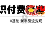 玩转知识付费项目精准引流：给你1套课多账号操作落地方案！【视频教程】