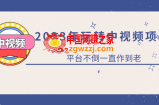 2023一心0基础玩转中视频项目：平台不倒，一直做到老