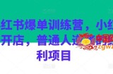 小红书爆单训练营，小红书开店，普通人逆袭的红利项目