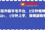 最新国外薅羊毛平台，2分钟视频收益50+，1分钟上手，保姆级教程【揭秘】