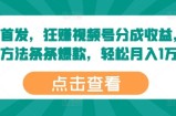 全网首发，狂赚视频号分成收益，掌握方法条条爆款，轻松月入1万+