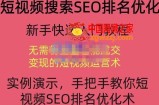 短视频搜索SEO优化：10分钟创作1个短视频，3天排名上第1（价值990元）