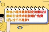微信小程序最新裂变流量玩法，时间自由收益高轻松赚广告费，日入过千不是梦！