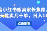 抖音小红书贩卖家长焦虑，一天能卖几十单，日入1k