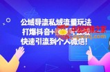 公域导流私域流量玩法：打爆抖音+视频号公域，快速引流到个人微信！