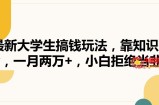 最新大学生搞钱玩法，靠知识掘金，一月两万+，小白拒绝当韭菜【揭秘】
