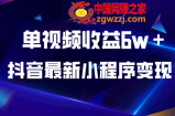 抖音最新小程序变现项目，单视频收益6w＋