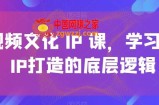 短视频文化IP课，学习文化IP打造的底层逻辑