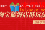 [圣域商学院]淘宝蓝海店群玩法：无需推广无需囤货，手把手实操、抓住电商新红利（价值3998元）