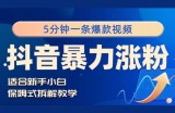 抖音暴力涨粉野路子，五分钟一条视频，适合新手小白!