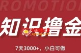 抖音知识撸金项目：简单粗暴日入1000+执行力强当天见收益(教程+资料)