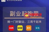 花爷-副业起跑营第2期，挑一门好副业，三周干起来（闲鱼｜小红书｜量化｜套利）