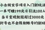 玄学项目入小白入门新玩法一单可赚199元日变现200+不封号不违规