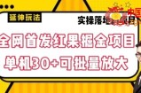 全网首发红果免费短剧掘金项目，单机30+可批量放大【揭秘】