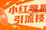 小红书最新引流技术，真正实现解放双手暴力引流