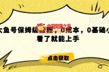 怎么样靠阿里大厂撸金，背靠大厂日入2000+，大鱼号保姆级教程，0成本，0基础小白看了就能上手【揭秘】