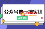 公众号搜一搜实训，收录与恢复收录、 排名优化黑科技，附送工具（价值998元）