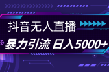 （11709期）抖音无人在线，爆利引流方法，日入5000