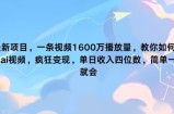 最新项目，一条视频1600万播放量，教你如何利用 ai视频，疯狂变现，简单一学就会