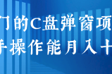 冷门的C盘弹窗清理项目，新手操作能月入十万！【视频教程】