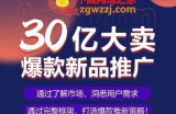 亚马逊·30亿大卖爆款新品推广，可复制、全程案例实操的爆款推新SOP