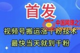 全网首发：视频号无脑搬运涨千粉技术，最快当天到千粉【揭秘】