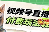 （7660期）微信视频号漂亮美女付钱无人直播，轻轻松松日入500 【详尽游戏玩法实例教程】