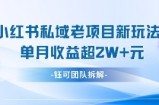 小红书私域项目新玩法，单月变现过W+