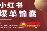 小红书爆单锦囊，自带种草属性+高质量女性用户，为你的企业开辟一条新的掘金路径