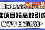 精准项目粉高效引流术，新手单日引流50+，多重变现方式稳定赚钱【揭秘】